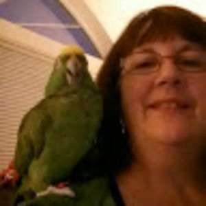 Meet your Posher, Glenda  l